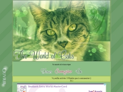 Détails : The World Of Cats