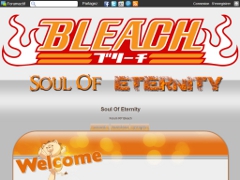 Détails : Bleach Soul Of Eternity